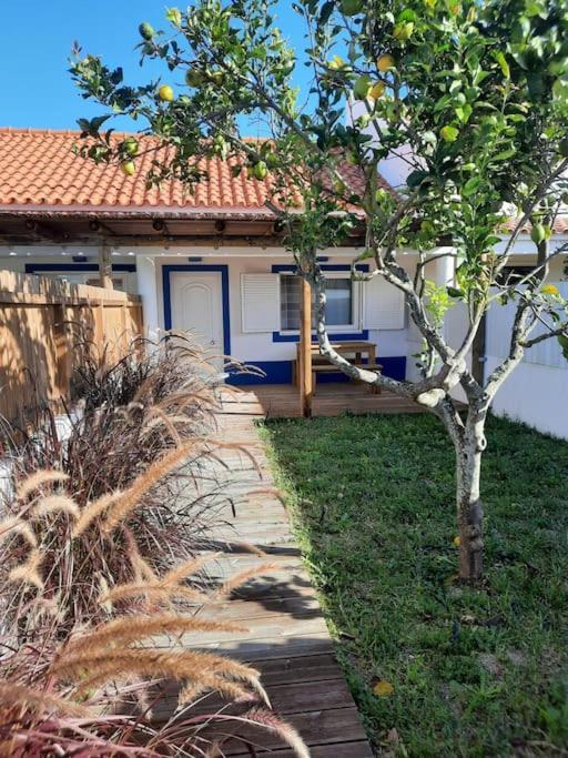 Villa Sado House 3 à Comporta Extérieur photo